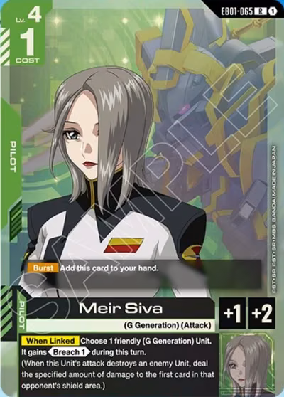 Meir Siva