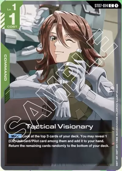 Tactical Visionary